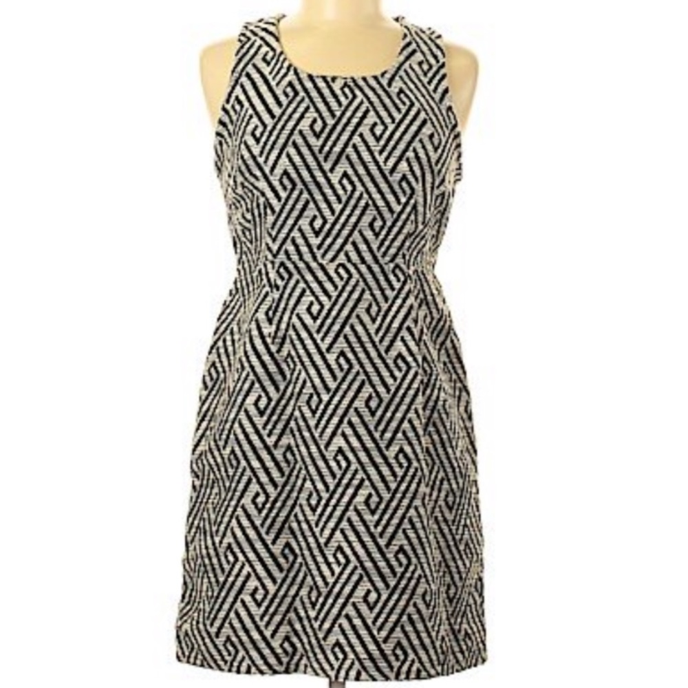 NWOT Jack by BB Dakota Sheath Dress Sz 6